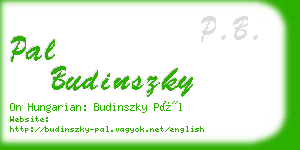 pal budinszky business card